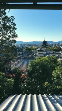 京都の八坂の塔を見渡す