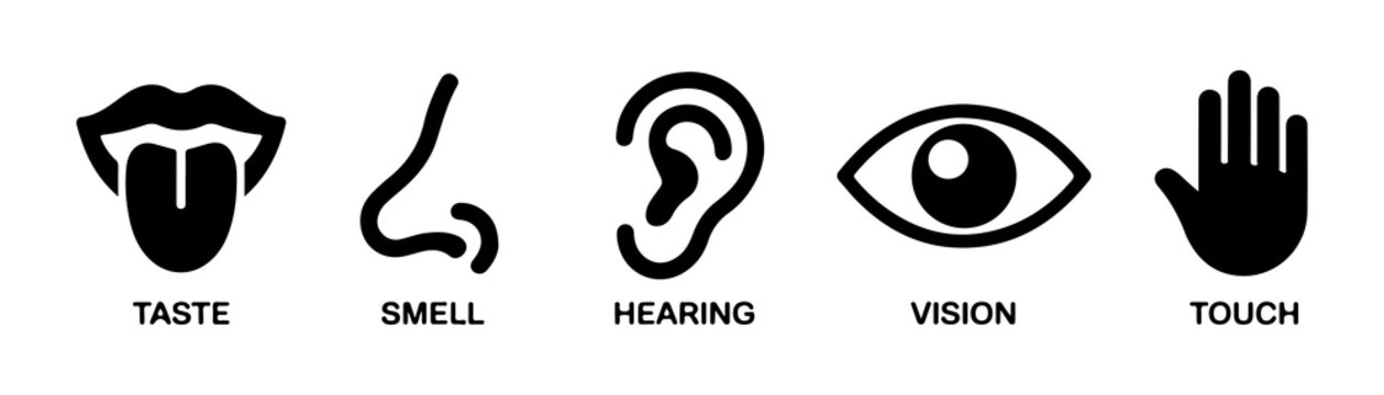 Five human senses taste smell hearing vision and touch black line icons set on white background.