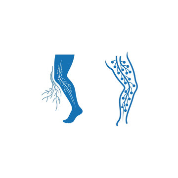Illustration of human legs with detailed vein and nerve structures in blue