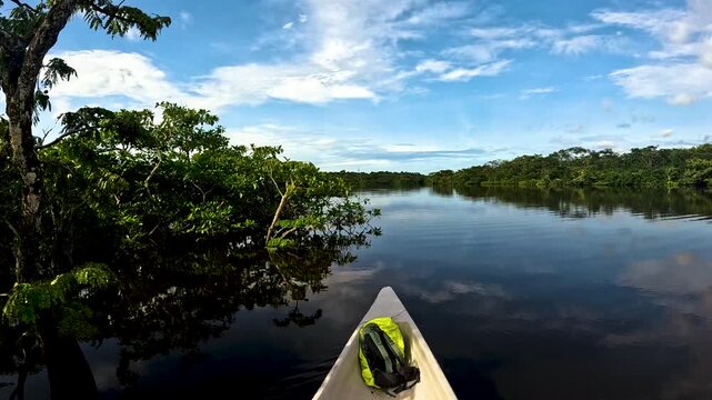 Boat Bow on Calm Flooded Amazon Rainforest Lagoon in Ecuador, Dark Water Reflections, Green Forest Banks and Remote Tropical Waterway Travel Scene