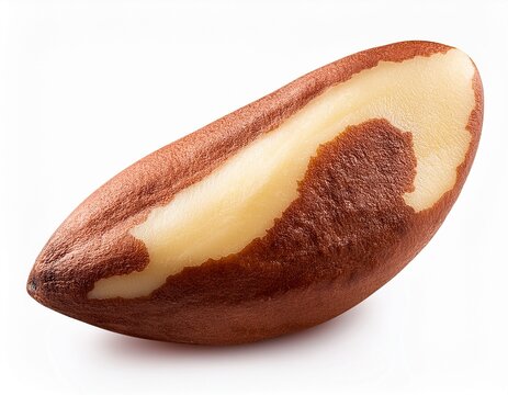 a brazil nut isolated on white background