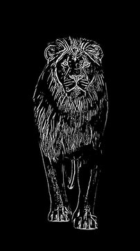 A powerful fire lion slowly walks toward the viewer, its entire body engulfed in flickering flames against a pure black background. This futuristic 3D animation blends realistic fire simulation with a