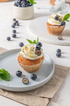 Delicious cupcakes with whipped cream frosting fresh blueberries and mint on a plate