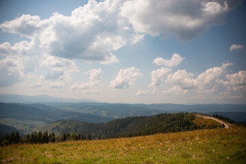 Fototapeta premium Beautiful mountain landscape with green slopes and wild blooming flowers in summer.