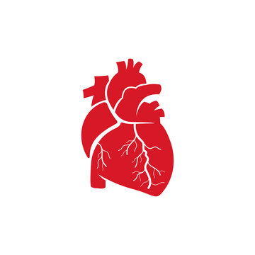 human heart organ medical cardiology icon symbol logo.cardio care logo icon illustration