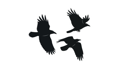 Fototapeta premium Black raven silhouettes in flight, flying crow bird vector set, dark gothic corvid icons on white background