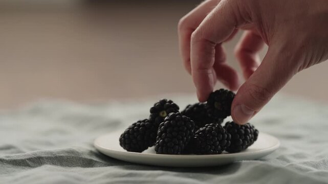 Slow motion man hand put fresh ripe blackberry on a white saucer