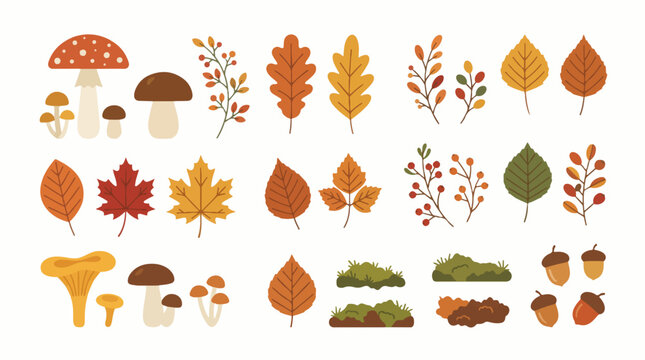 Autumn season forest elements set featuring vibrant vector mushrooms colorful falling leaves diverse branches moss and brown acorns for design