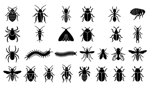 Household pest danger silhouette icon collection featuring bedbugs termites cockroaches beetles fleas moths and insect warning symbols