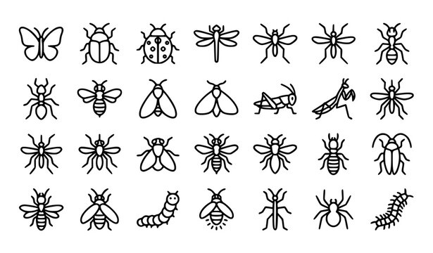 Minimal insect editable outline icon collection featuring butterfly beetle ladybug bee dragonfly and bug symbols for web and presentation design