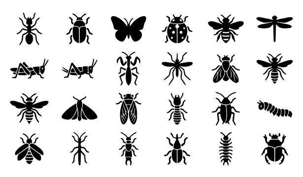 Insect and bug solid glyph icon set featuring beetles butterflies bees ants dragonflies mosquitoes termites and common pest symbols