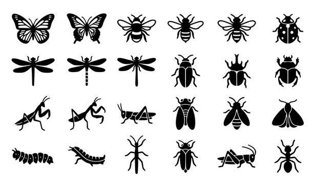 Garden and nature insect glyph icon collection featuring butterflies bees beetles dragonflies mantis cicadas moths and bug silhouettes