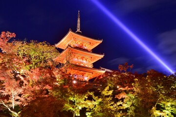 Obraz premium 秋のライトアップされた清水寺
