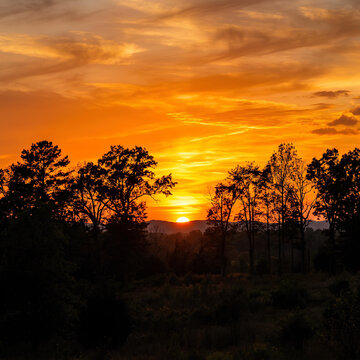 Golden sunset over silhouetted forest trees and meadow.