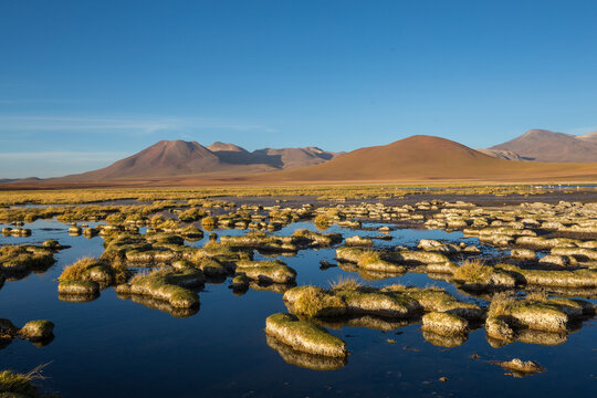 Northern Chile