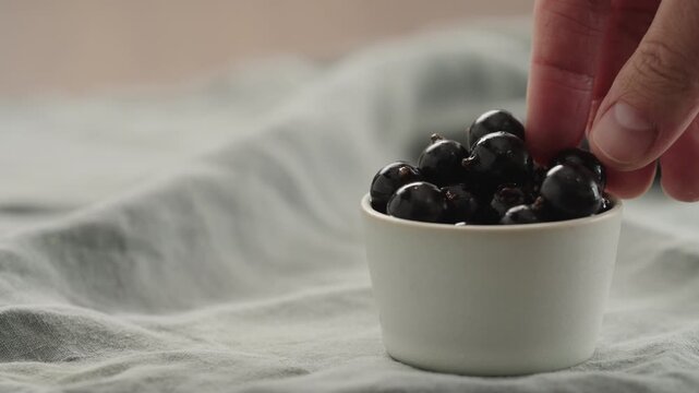 Slow motion man hand put washed ripe blackcurrant in ceramic bowl