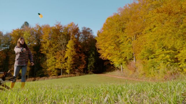 SLOW MOTION: Young woman throws a toy for her mixed breed dog in sunny autumn meadow, framed by vivid fall trees and green grass. Athletic motion, playfulness and joy of an active countryside dog walk