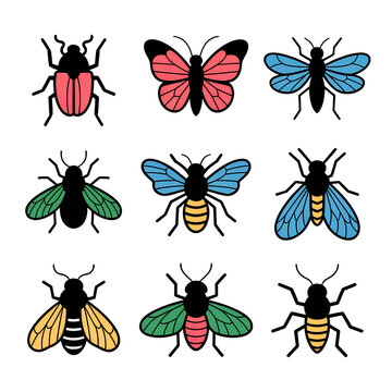 Collection of colorful insect illustrations for educational and design use