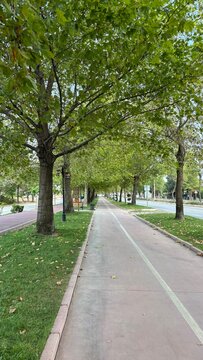 Perspective view of paved bike path lined with lush green trees in public park