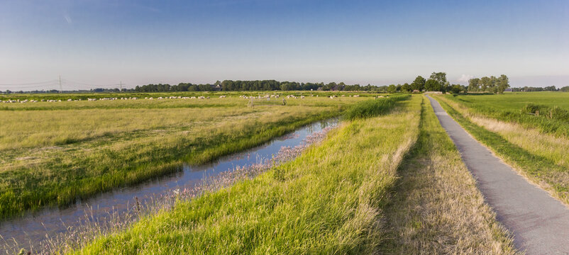 Panorama of a bicycle path in the landscape of Groningen, Netherlands