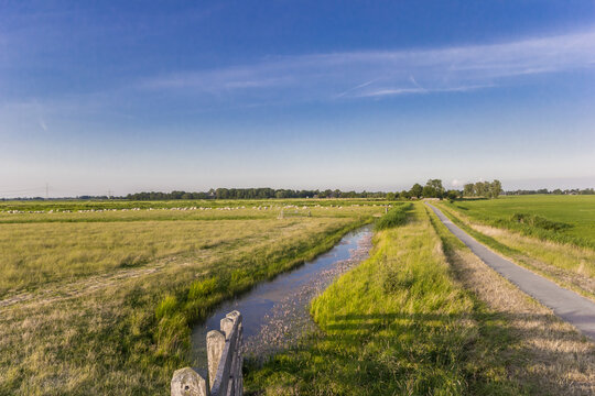 Bicycle path on a dike near Garnwerd, Netherlands