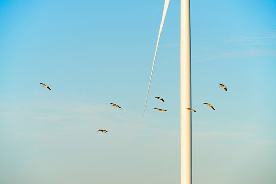 Energy at sunrise over a bright countryside in summer, Almere, Flevoland, the Netherlands, July, 2026