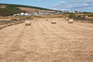 Obraz premium A dry summer hayfield dotted with round bales stretches towards a Welsh coastal village, with rolling hills, grazing horses and a bright sky creating a peaceful rural scene.