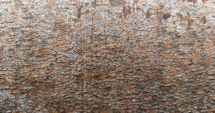 Detailed textured bark with micro patterns on ancient tree trunk in Papua, Indonesia