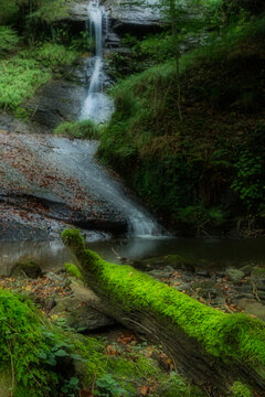 Uguna waterfall flowing through lush green forest in Gorbea Natural Park Bizkaia Basque Country Spain