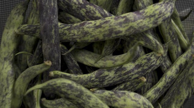 Shaking green bean pods inside black metal colander top view copy space, 4K