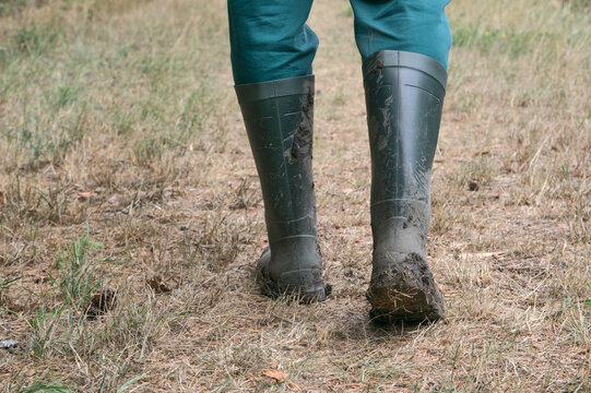 Drought in Europe. A farmer walks in rubber boots across his parched, brown meadow. The authentic scene highlights the visible impacts of climate change and extreme dryness.