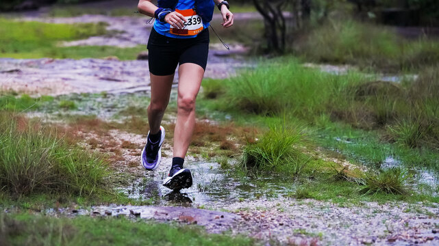Trail Runner Crossing a Wet Forest Trail During an Outdoor Running Race