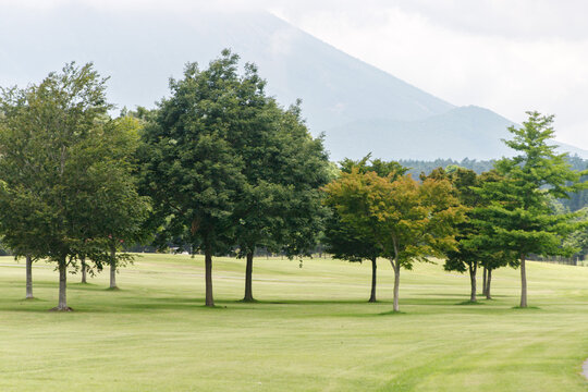 Scenic Green Lawn with Diverse Trees and Majestic Mountains in the Background