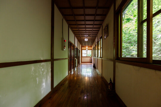 Traditional Japanese Wooden Corridor with Glass Windows Overlooking Lush Greenery