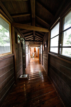 Traditional Japanese Wooden Corridor with Glass Windows Overlooking Lush Greenery