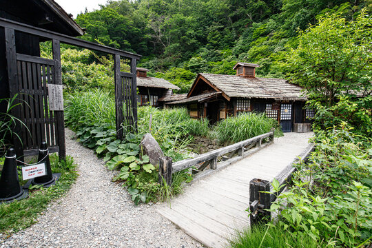 Traditional Japanese Wooden Bridge and Historic Village Path Amidst Lush Green Forest