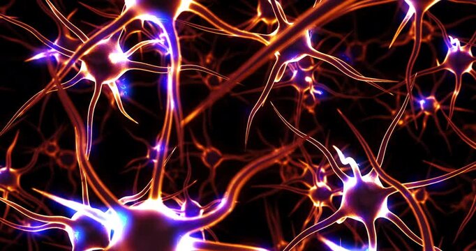Digital Human Brain to into the Artificial Intelligence Era. Futuristic Technology Concept 4K 3D Animation.