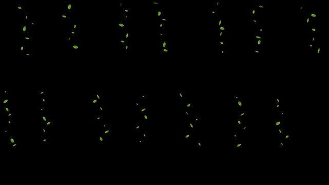 Abstract Green Digital Rain Animation on Black Background