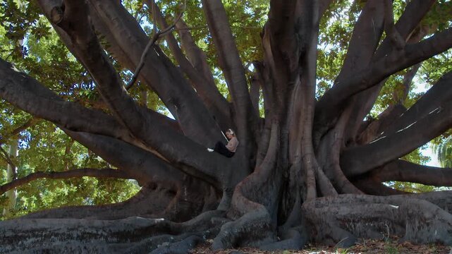 Young girl relaxes in the shade of a giant tree, sitting on a thick branch and wearing headphones during a peaceful sunny afternoon.