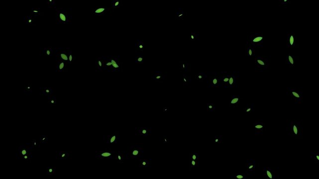 Green glowing particles floating on black background