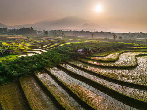 Aerial view of lush green rice terraces at sunrise with golden light reflecting in the water, surrounded by palm trees and misty mountains in Wonosobo, Central Java, Indonesia.