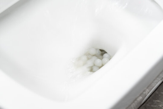 Test the toilet's flushing ability by dropping an object into it.