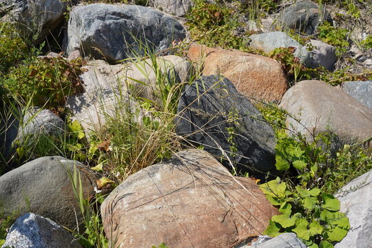 Gro&szlig;formatige Findlinge zum Schutz der K&uuml;ste bei Sierksdorf an der Ostsee
