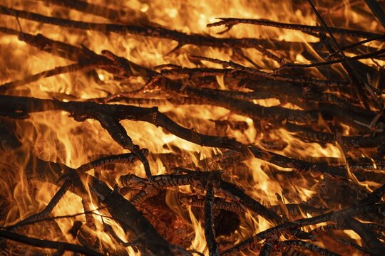 Burning branches with blazing flames and intense embers, Finland