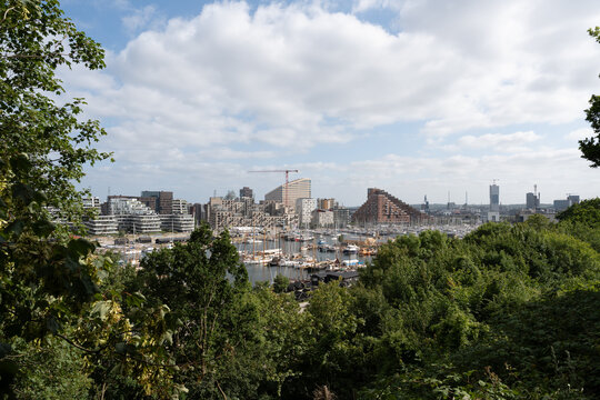 Green viewpoint over harbor and city skyline