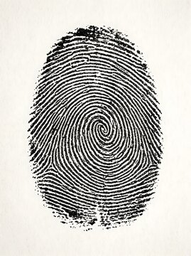 a human fingerprint on a clean white background
