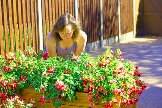 Studying the fuchsia planter, in August.