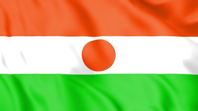 Niger Flag Loop animation