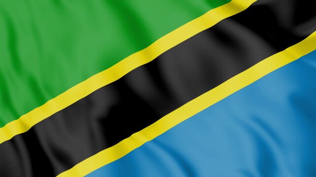Tanzania Flag Loop animation