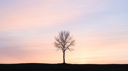 Fototapeta premium Lone tree silhouette against a colorful sunrise sky.